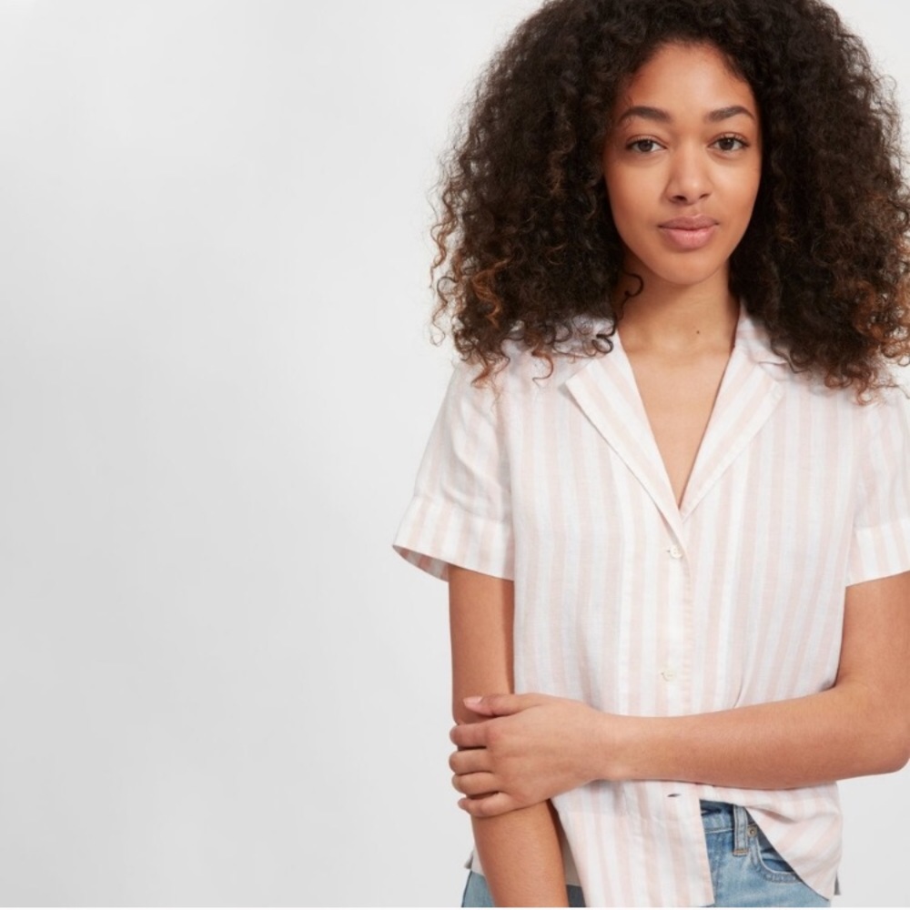 Everlane Pink Striped Button Down Shirt